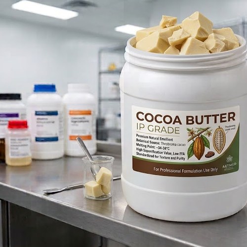 Cocoa Butter IP Grade – Premium Natural Emollient bulk wholesale